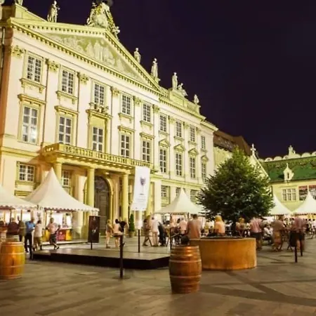 아파트 Diamond ***** In Old Town 브라티슬라바